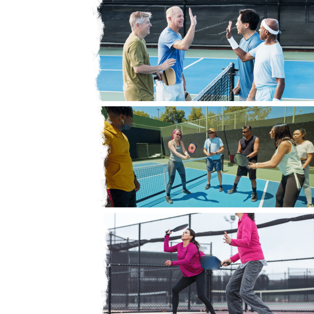 USA Pickleball Places 2 Play Website