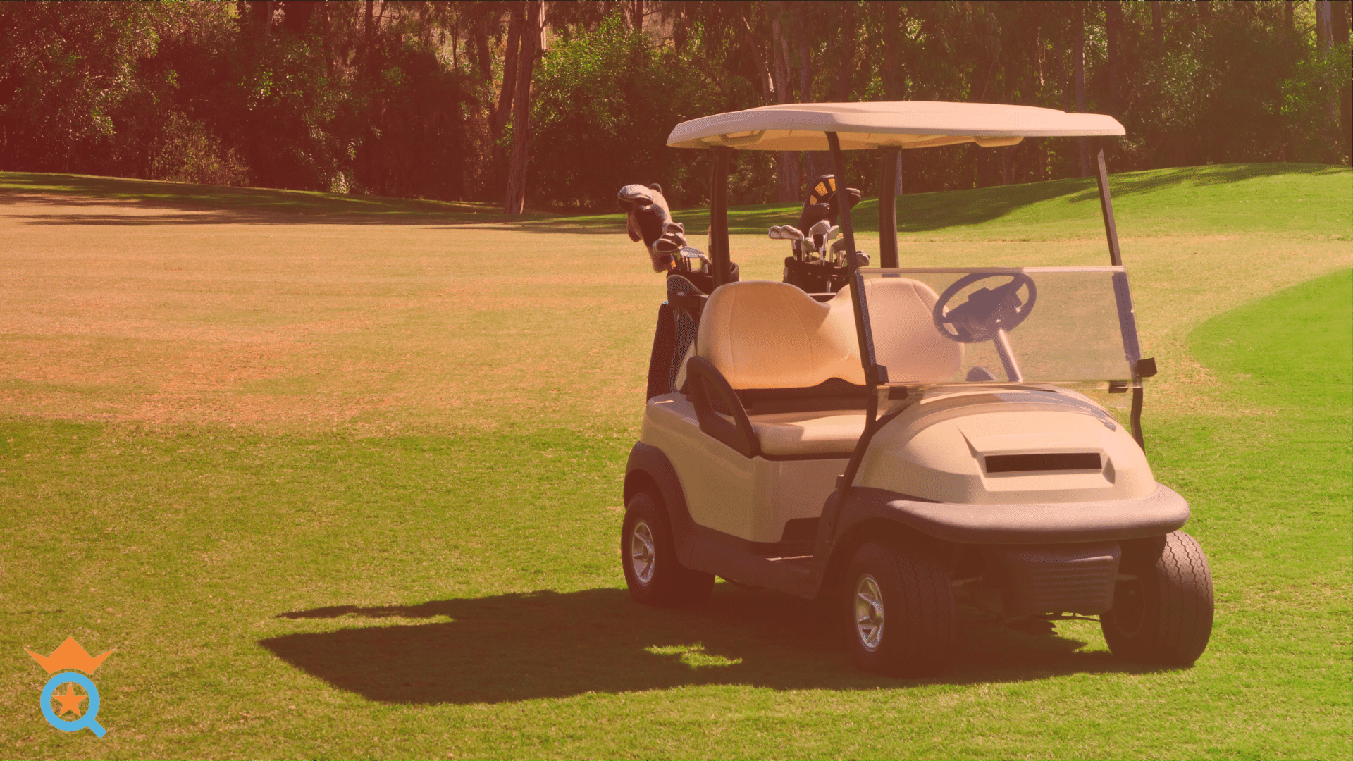 Golf Cart Steering Wheel Adapters