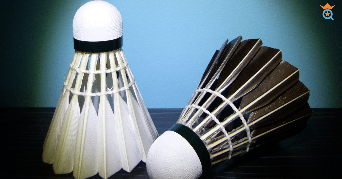 Different Types of Badminton Shuttlecocks